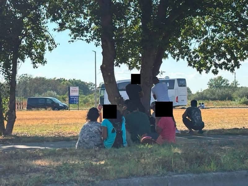 Szivárgás Szegeden – migránsok kószálnak a Napfény Parkban!